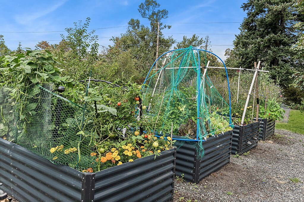 A garden with a green netting structure and a variety of plants.